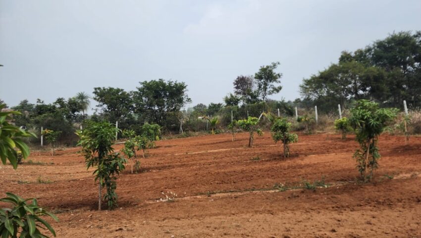 IMG-20240212-WA0013